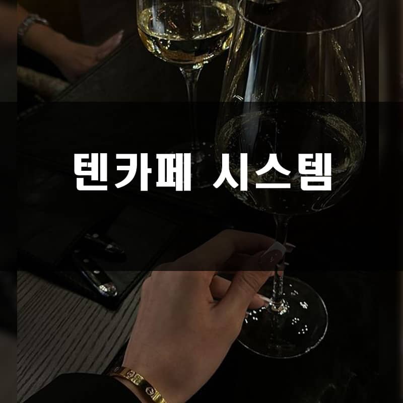 강남 텐카페 시스템 안내