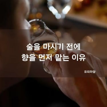 술 향을 먼저 맡는 이유
